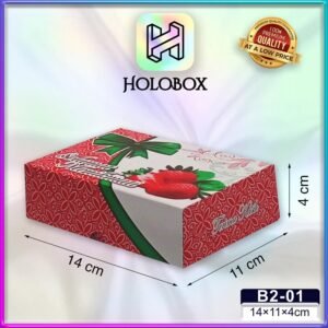 dus martabak/kotak makan/box serbaguna/Uk 14x11x4/B2-01