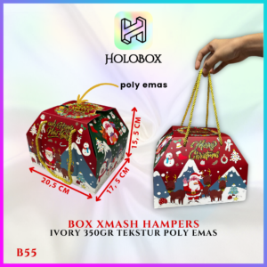 Gable Box - Box Natal - Box Hampers - Gift Box - B55